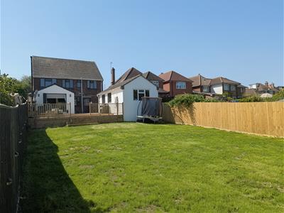 Picture 3